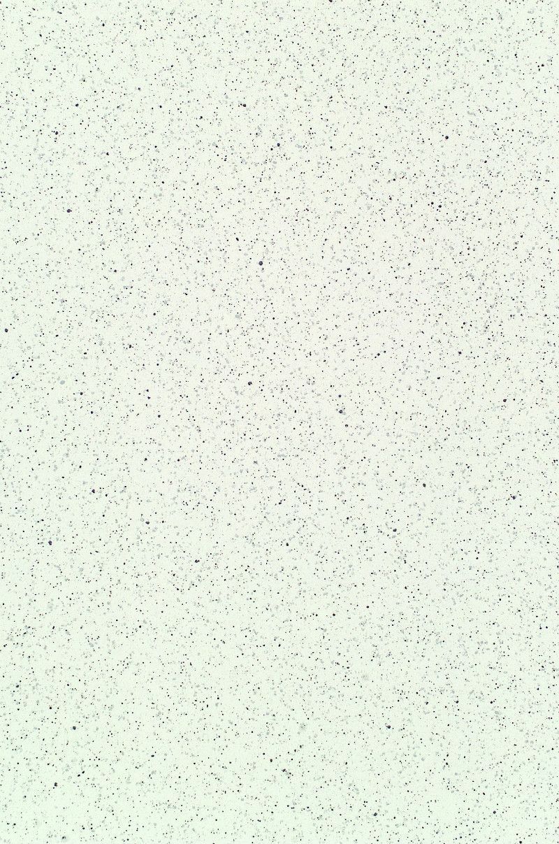 Столешница  (4972 PE) Зернисто-белая